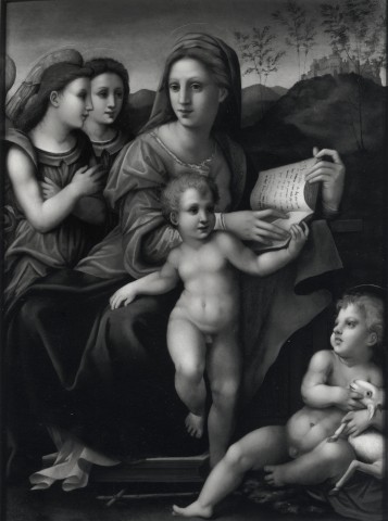 Anonimo — Anonimo senese - sec. XVI - Madonna con Bambino, san Giovannino e angeli — insieme